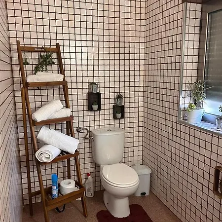 Casa Da Encosta - Padroso 公寓 *
